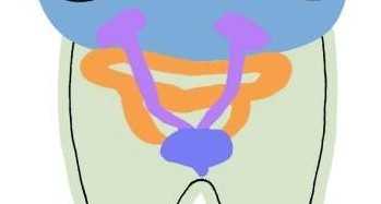 ǰ�����׳�ʲôҩ