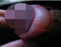 ��ƤǶ������