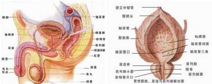 ��������п�ҽԺ