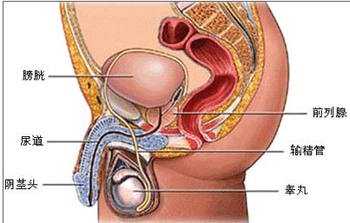 ��������п�ҽԺ