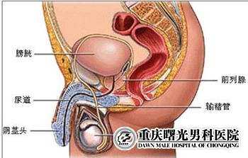 ��������п�ҽԺ