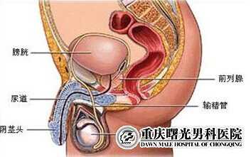 ��������п�ҽԺ