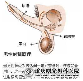 ��������п�ҽԺ